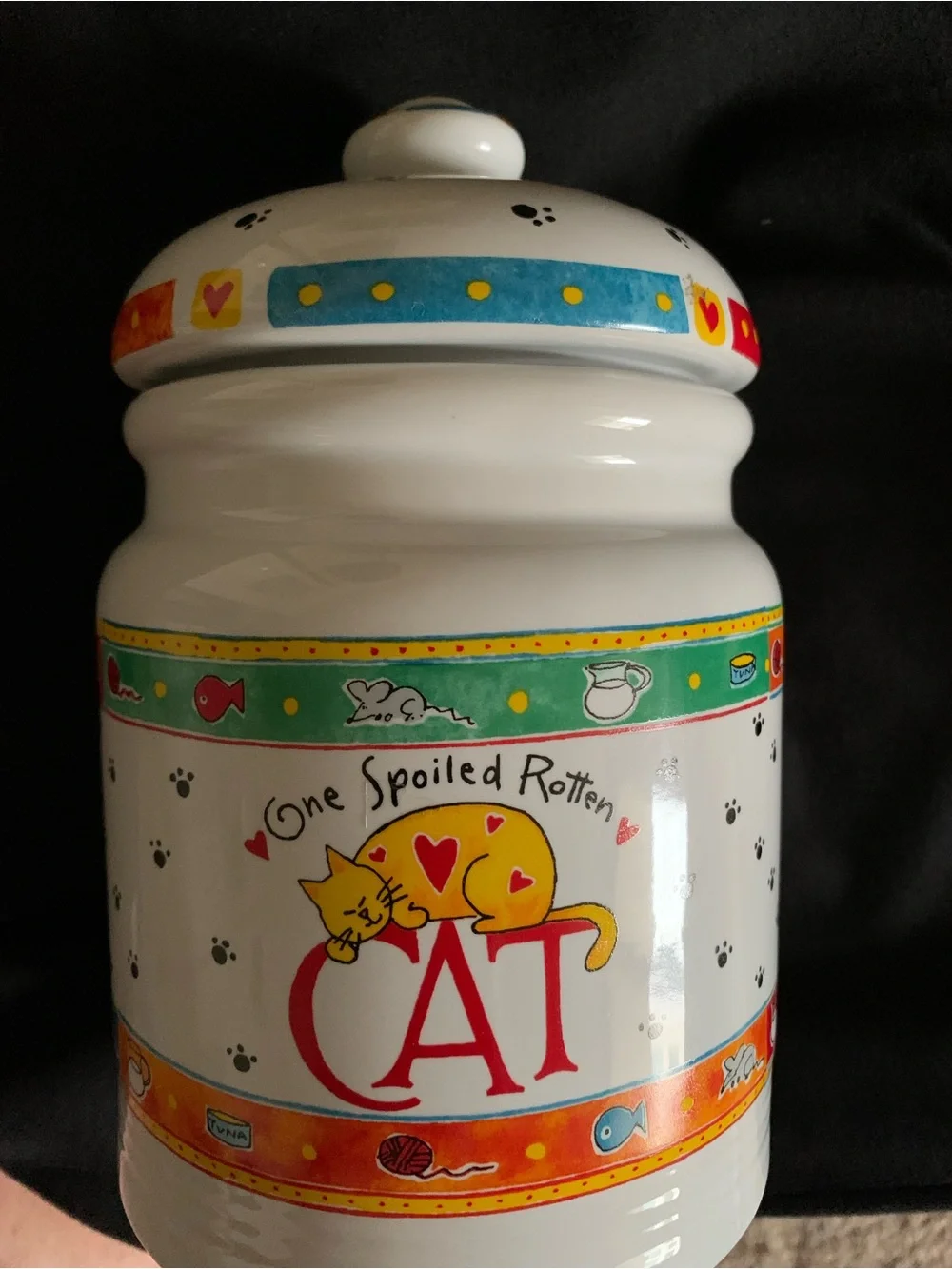 One Spoiled Rotten Cat Treat Canister